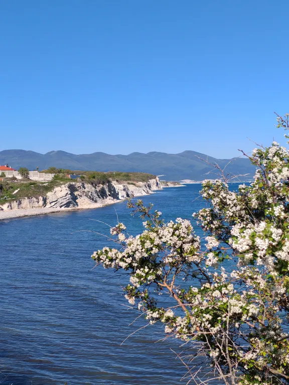 Море без мазута пешком одна минута