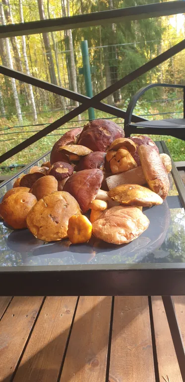 Комфортабельный коттедж с сауной на берегу водоема