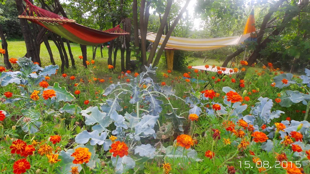 Коттедж Деревенский дом с садом и огородом — Воронеж