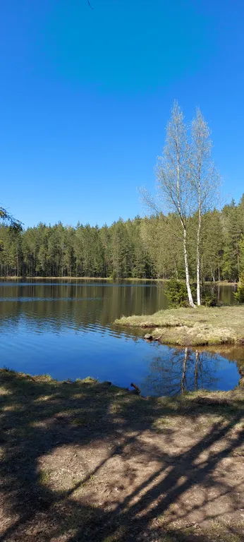 Тихое место