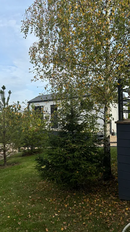 Уютные мини-барны Вдох Выдох — комфорт для отдыха на природе