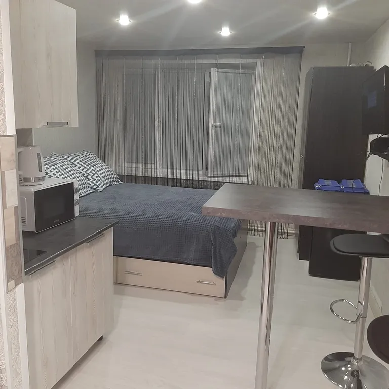 Уютная студия в центре города