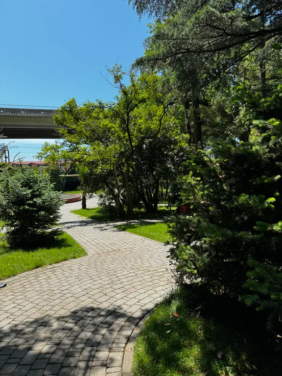 Апартаменты blue & gray