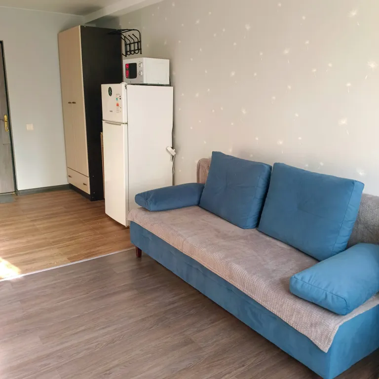 Уютная студия в центре