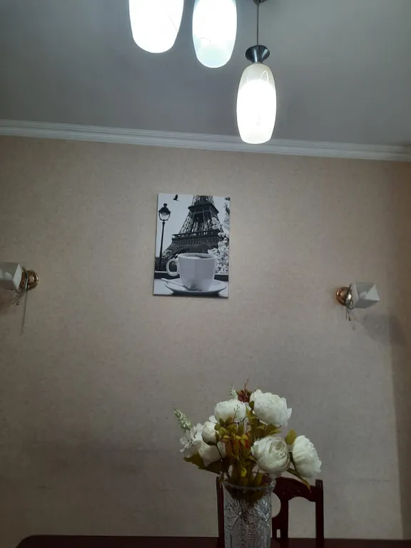 Трёхкомнатная, три кровати, диван, самый центр левого берега