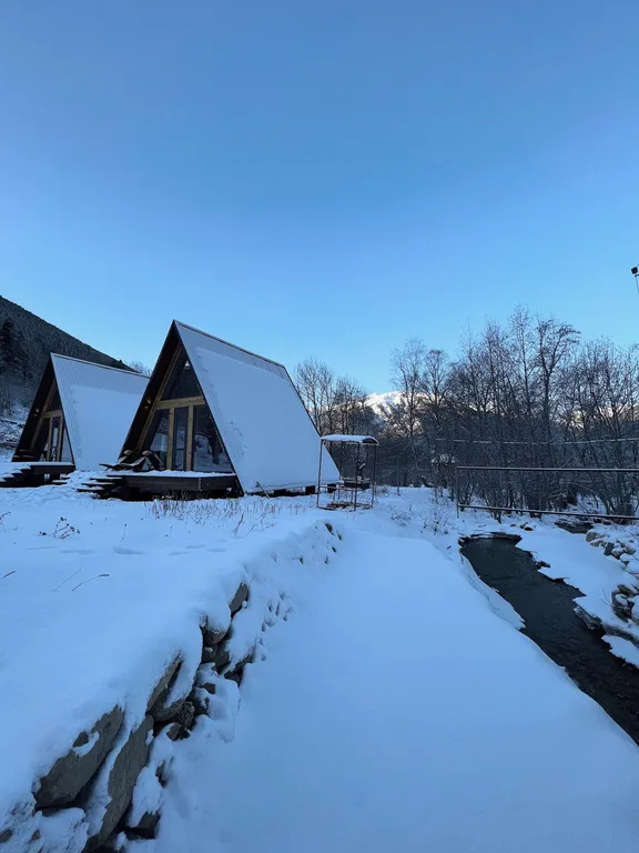 Живописный уголок в лесу вдали от городской суеты
