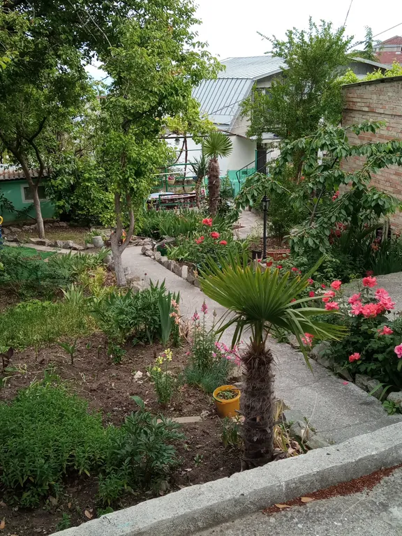 Двухкомнатная квартира в частном секторе у моря Курорт Ялта-Мисх