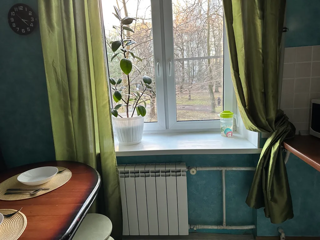 1-комнатная квартира рядом с клиниками Алмазова, Альмадея, Пульманалог
