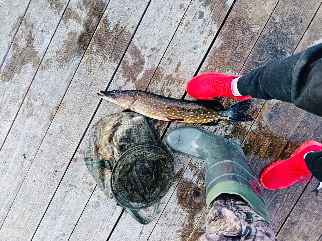 Рай на Щеберихе