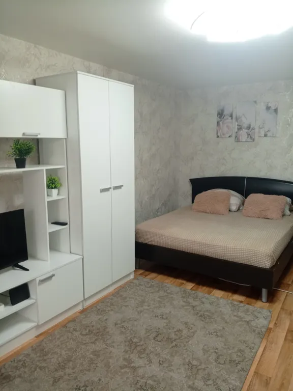 1-комнатная Квартира — аренда посуточно в Воронеж