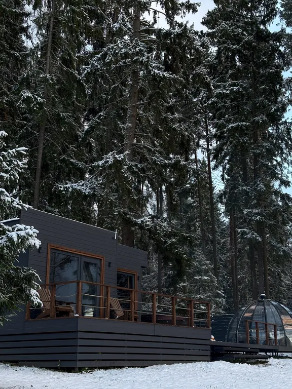 Коттедж Уютный дом на живописной поляне в лесу с панорамными окнами — аренда посуточно в Пушкино