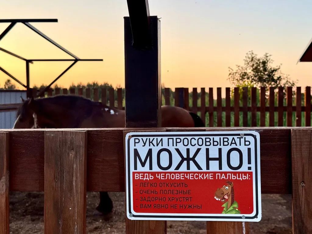 Гостевой дом с конюшней