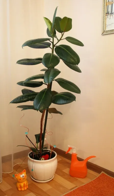 Квартира в центре