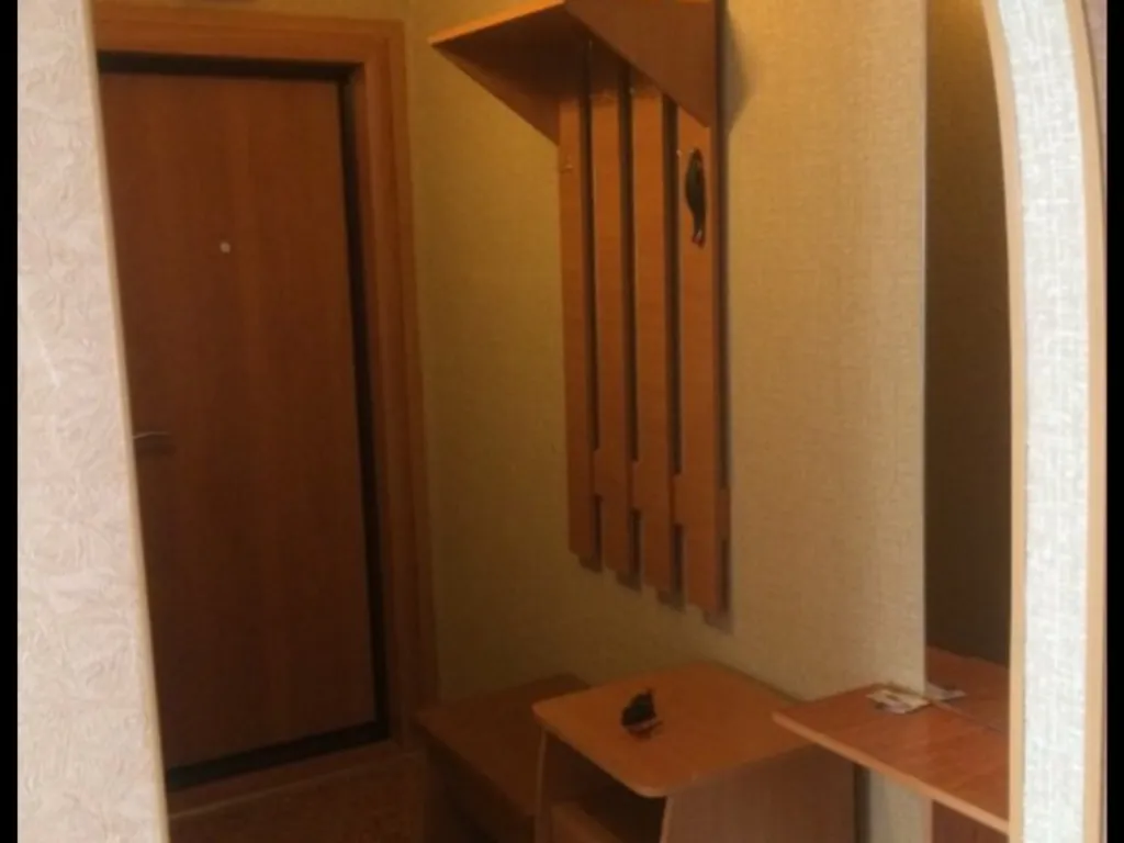 Уютная однокомнатная квартира в центре города