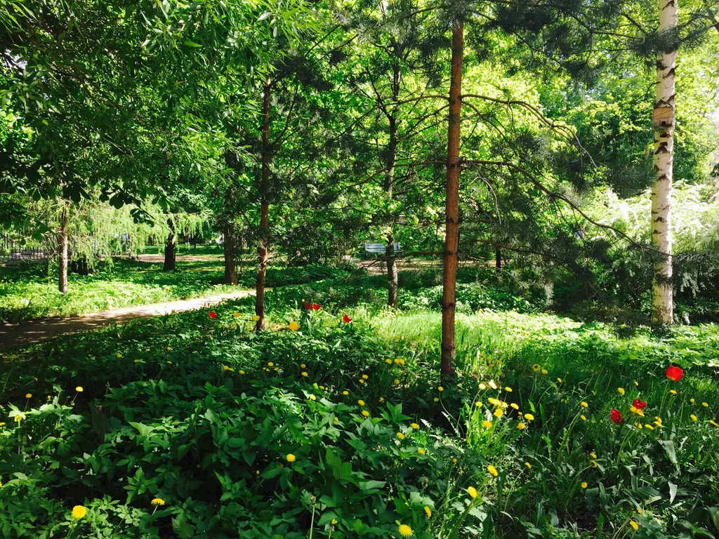 Avrora 3br apartment