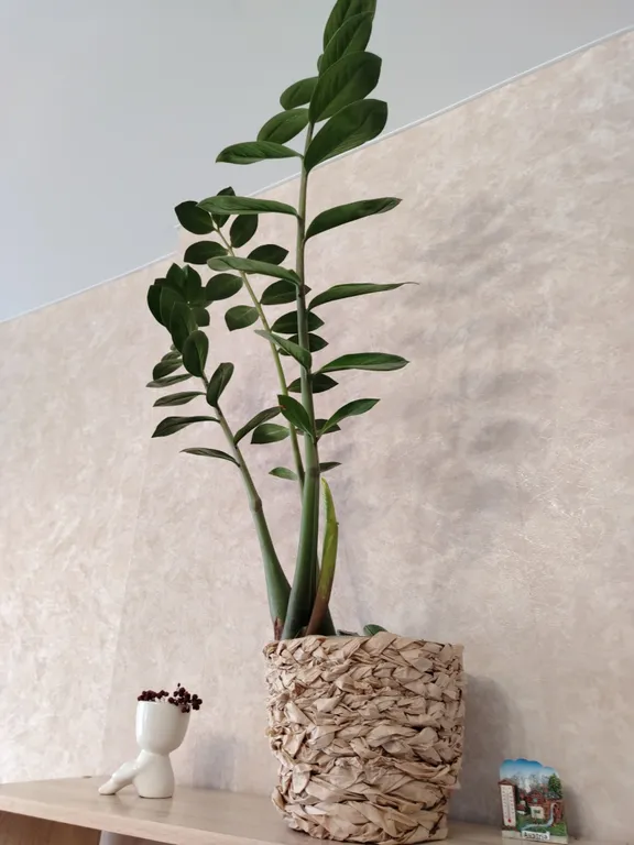 Апартамент в центре с кофеваркой и тихим двором