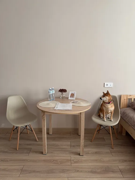 Студия в новом доме