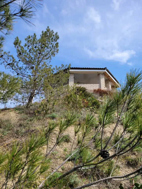 Мансарда с панорамным видом