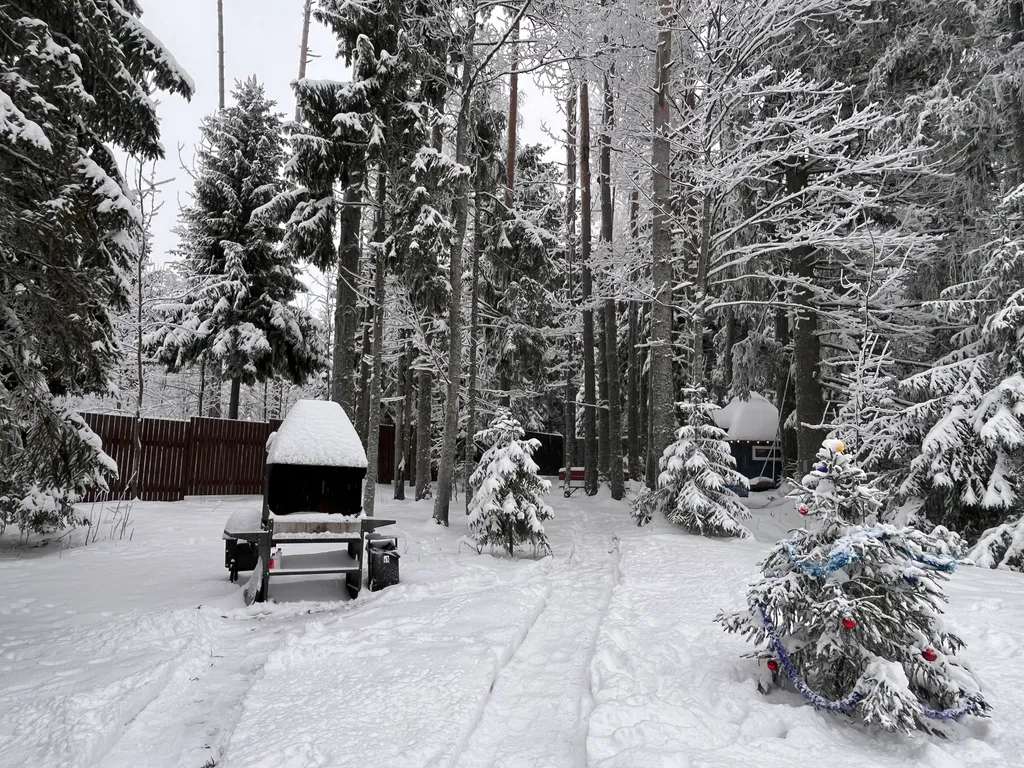 Коттедж Новый коттедж с сауной в сосновом лесу — Санкт-Петербург