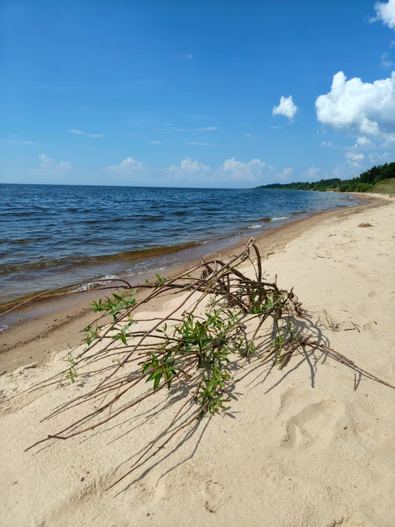 Дом с видом на Чудское озеро