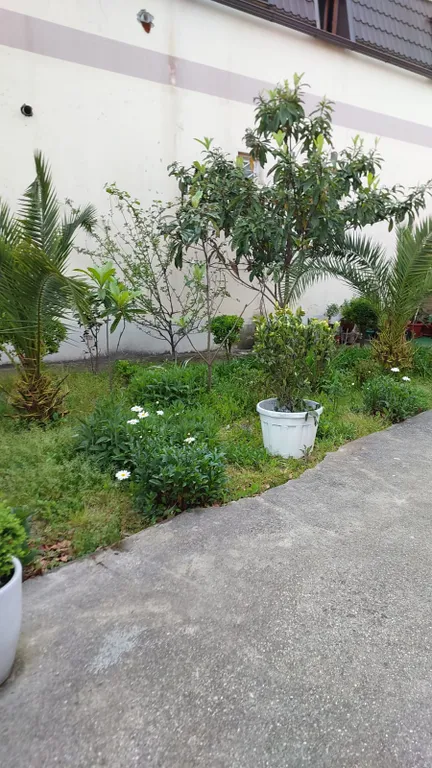 Апартаменты люкс с балконом в 200 метрах от моря с верандой