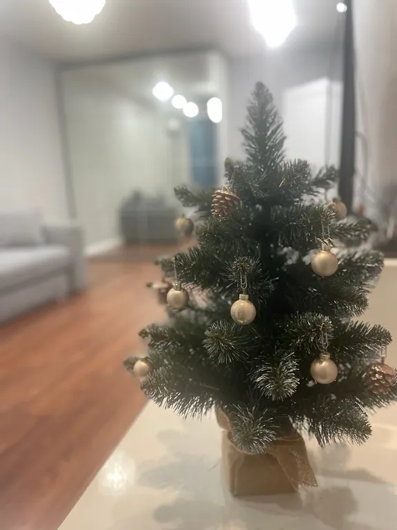 Двухкомнатная квартира в центре города