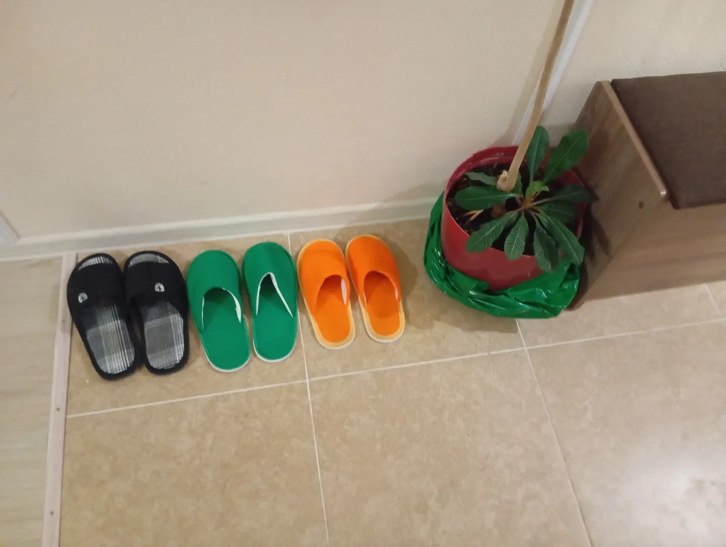Фото