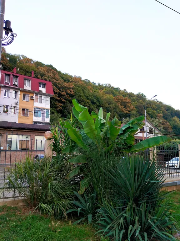 Квартира Квартира Уютная студия в экологически чистом районе Мацеста — Краевско-Армянское