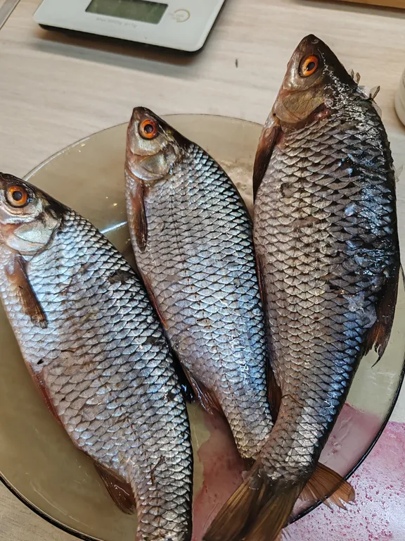 Дом у слияния рек, рядом с историей