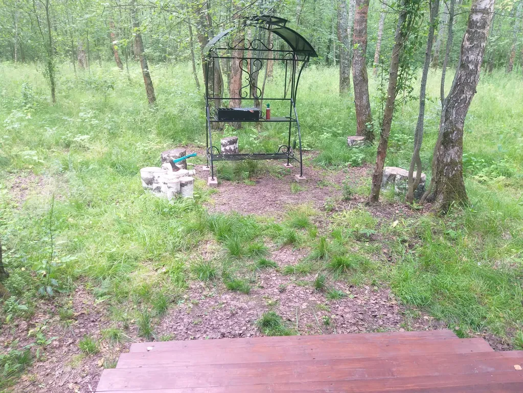 Дом в лесу, со всеми удобствами