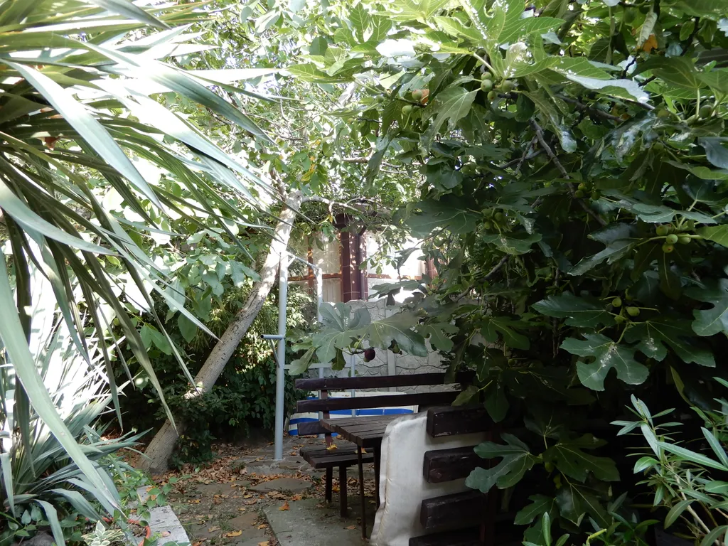 Квартира-студия с видом на море