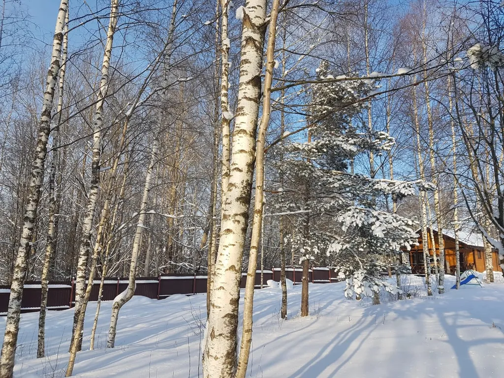 Коттедж Дом с камином, баней-сауной на дровах и купелью — Светлое