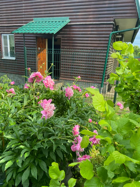 Дом у Александра