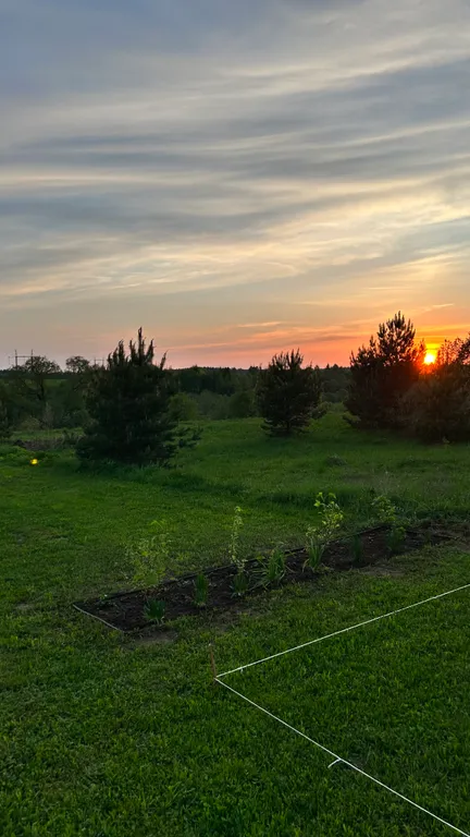Дом на реке и краю соснового леса