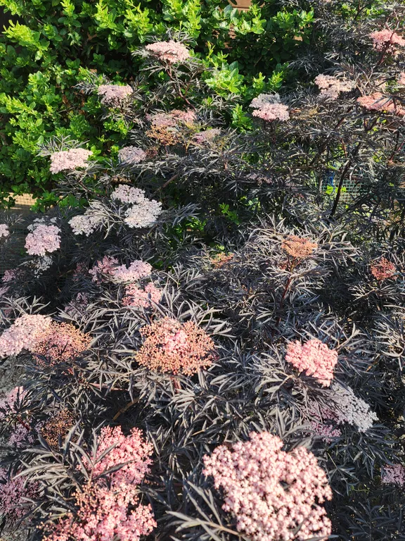 Дом на берегу моря