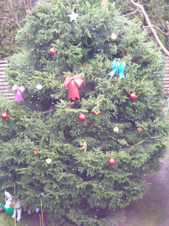 Коттедж Душевное пространство - гостевой дом — Калининград