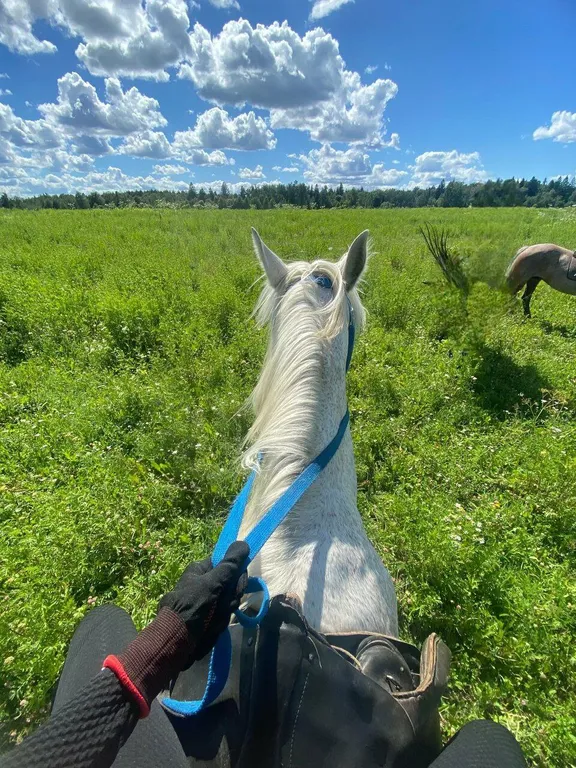 Уютный домик с большой террасой