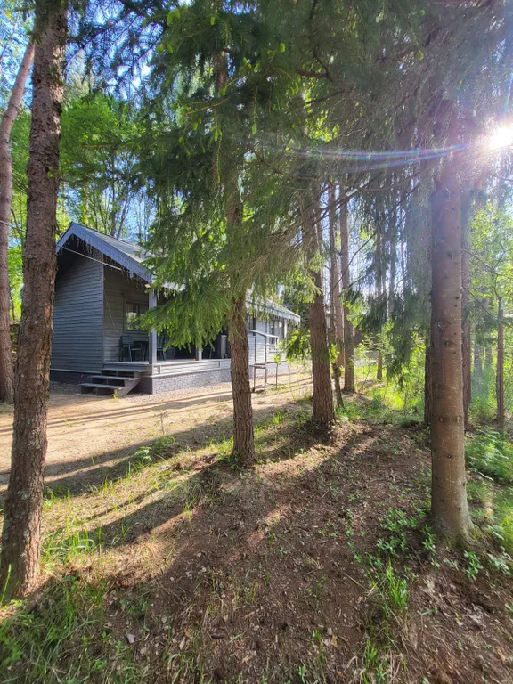 Лосиный ключ - коттедж с баней у озера