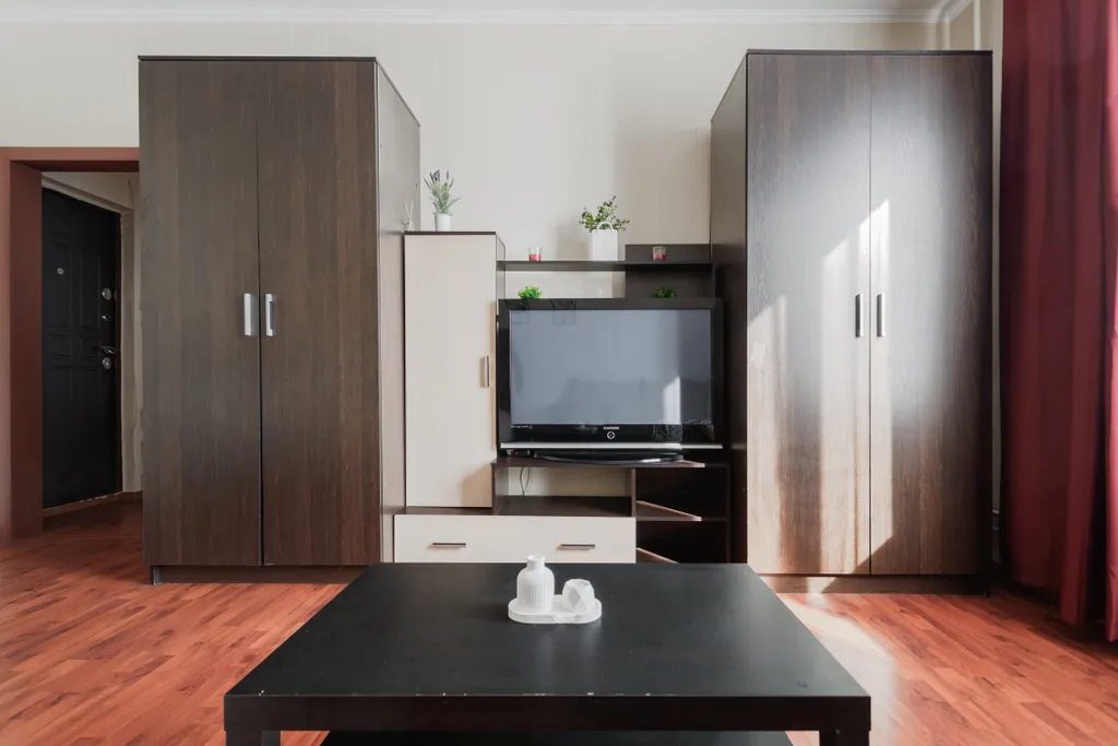 Большая 1-комнатная квартира с отдельной кухней