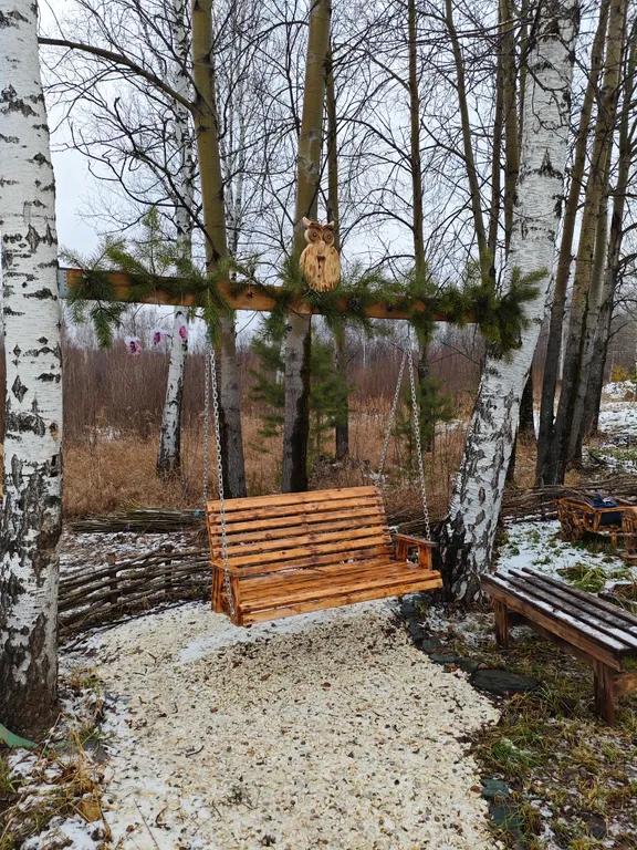 Дворик леса