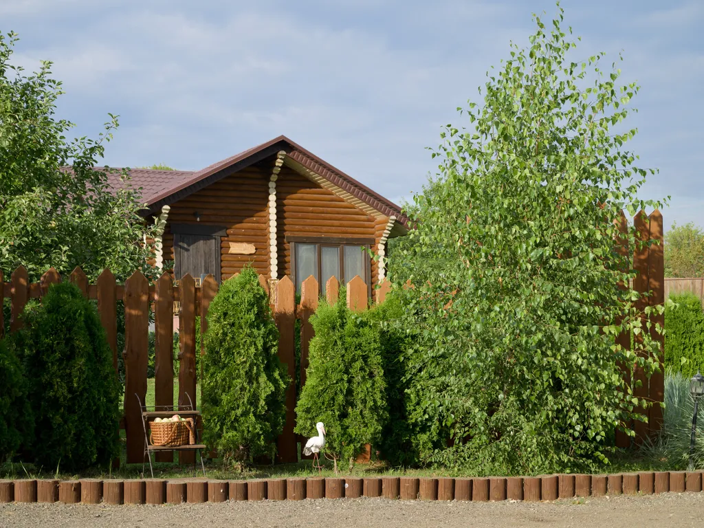 Гуси Лебеди