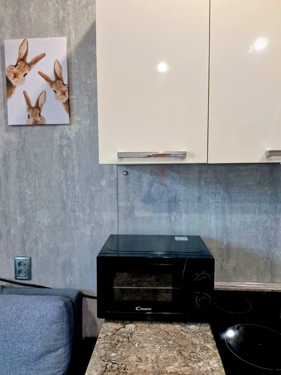 Квартира Просторная квартира в центре города — Ярославль