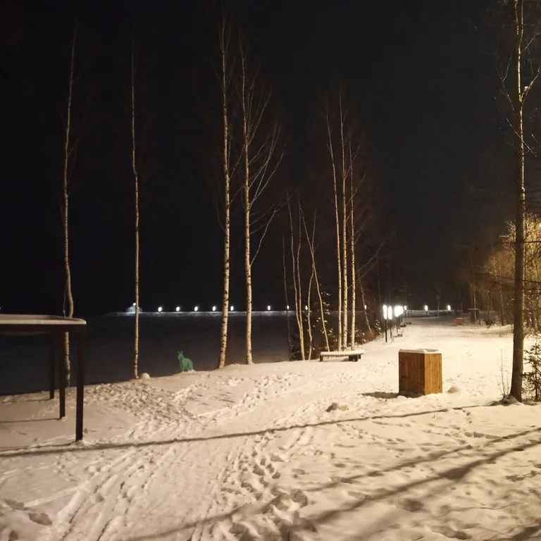 Уютная квартира с видом на Онежское озеро