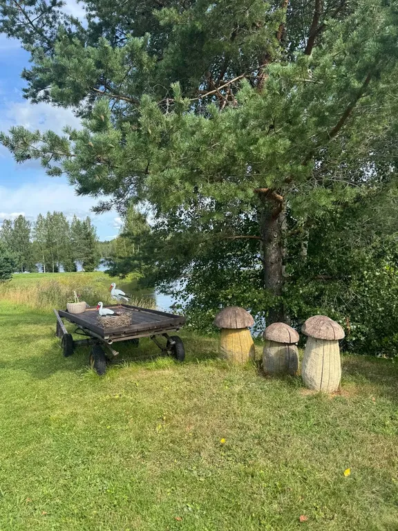 Дом из сруба у воды