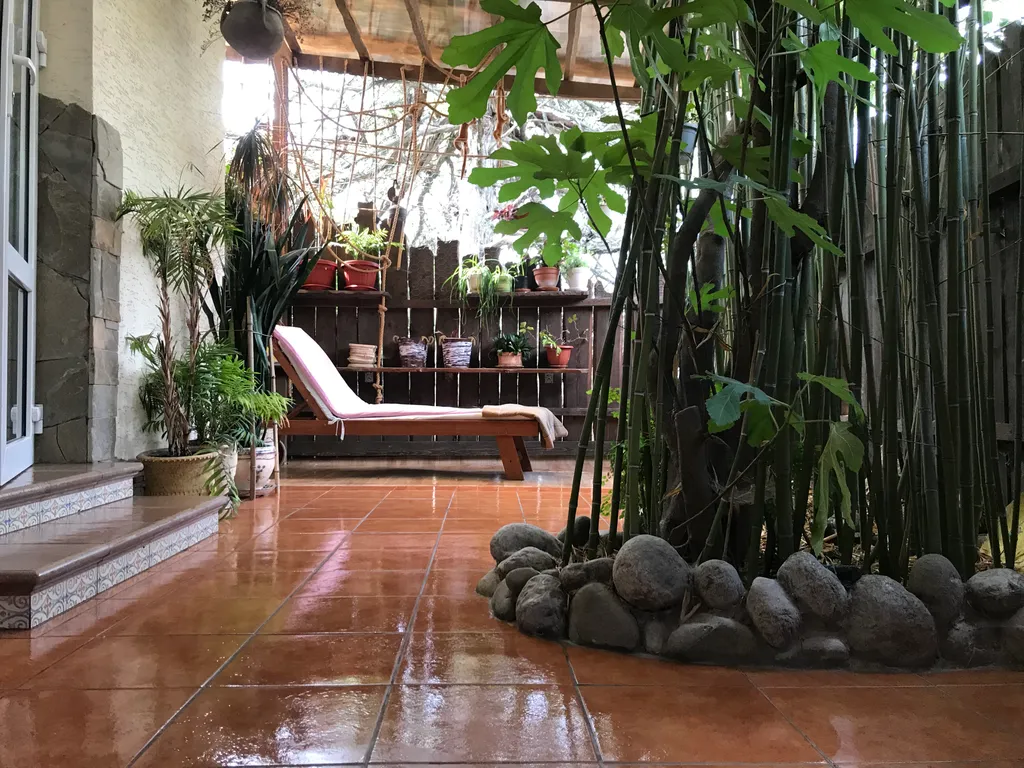 Номер с уютным двориком