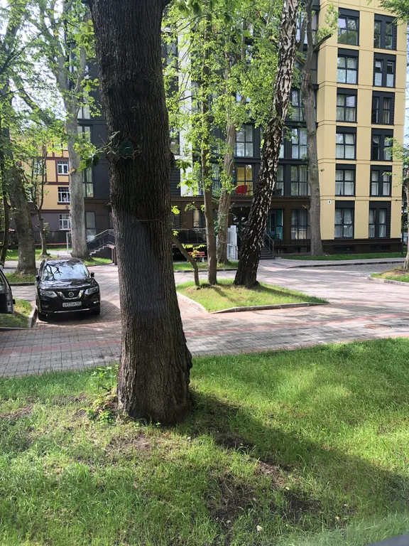 Апартамент рядом с морем