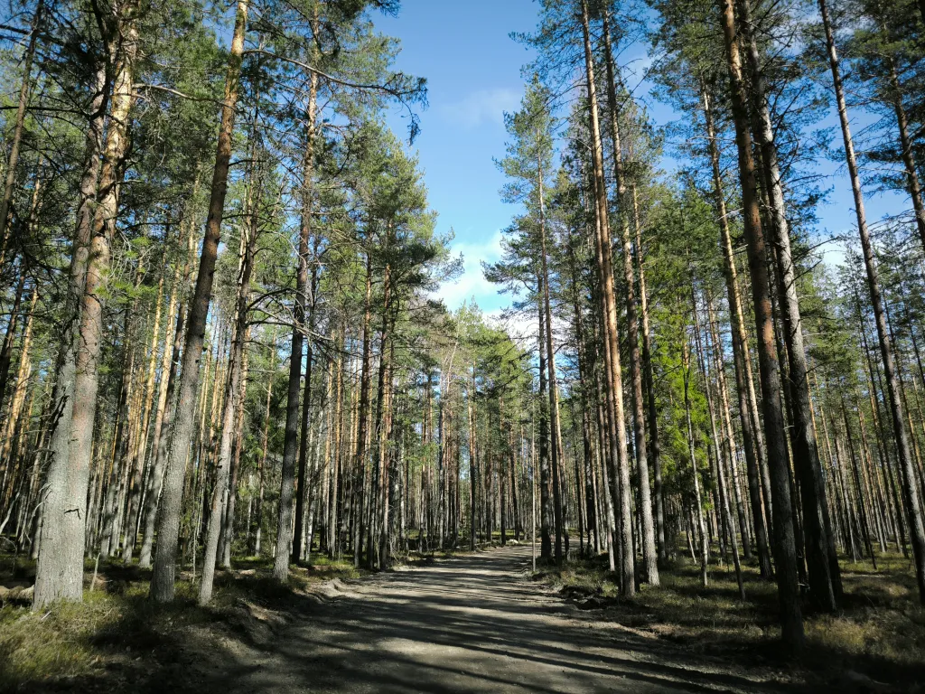 Таунхаус на озере Шотозеро