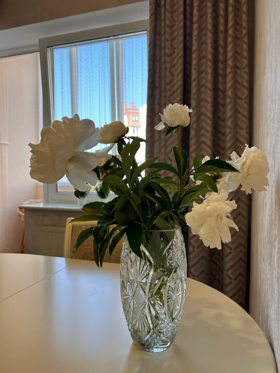 Уютные и красивые апартаменты в центре города