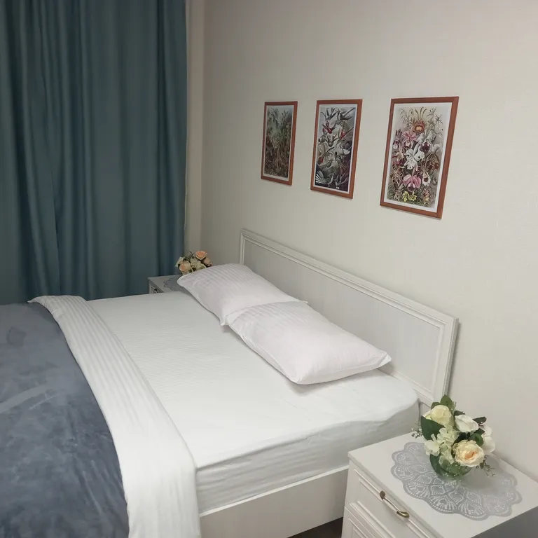 Апартаменты Пятница /"Гармония"/до 4чел/рядом с центром города