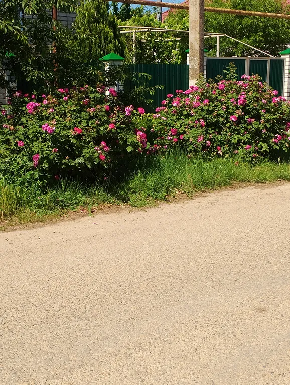 Квартира Квартира Солнечная студия на Азовском море — Кучугуры